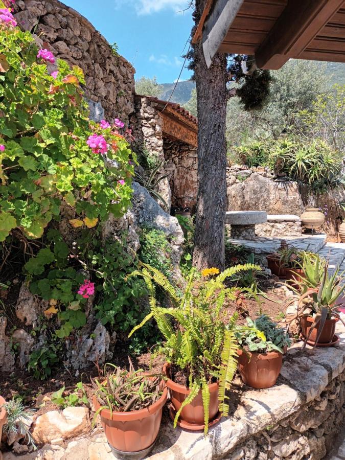 Aphrodite'S Maisonette On Corfu Island Barbati Exterior foto